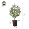 Artificial Olive Tree 5ft/6ft Tall Faux Indoor Plant - Realistic Green Leaves and Black Olives - Decorative Potted Tree for Living Room Home Office - 3 of 4