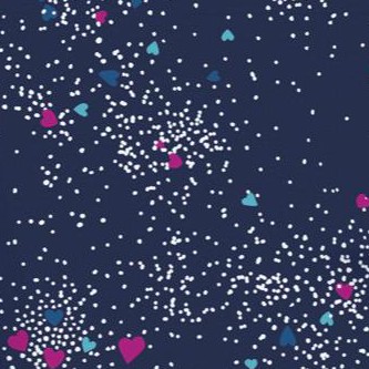 navy sprinkle heart