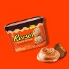 REVIEW: Reese's Peanut Butter Sandwich and Reese's Peanut Butter Light Ice  Cream - The Impulsive Buy