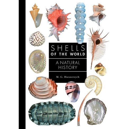 Shells of the World - (Guide to Every Family) by M G Harasewych (Hardcover)