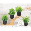 Aoibox 4 Pack Small Artificial Faux Plants in Black Pots for Bathroom, Home, Kitchen, Coffee Table, Office Desk Decor, Indoor Use - 2 of 4