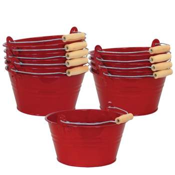 Qtmnekly 12 Pieces Small Bucket with Handle, Cute Mini Fleshy Pot Metal  Craft Composite Section Gift