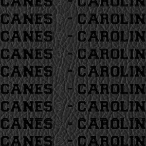 carolina hurricanes