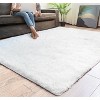 Rug Branch Plain Plush Shag Indoor Area Rug - 3 of 4