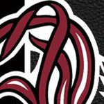 south carolina gamecocks