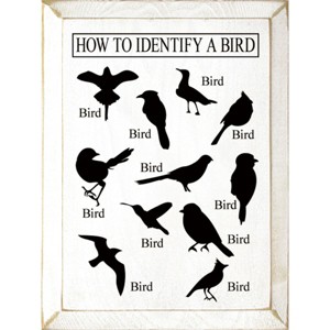 Slickblue Bird Guide Wooden Sign, Knotty Pine 9x12 Inch Wall Decor, Rustic Style, Color Options - 1 of 3