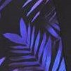 blue palm