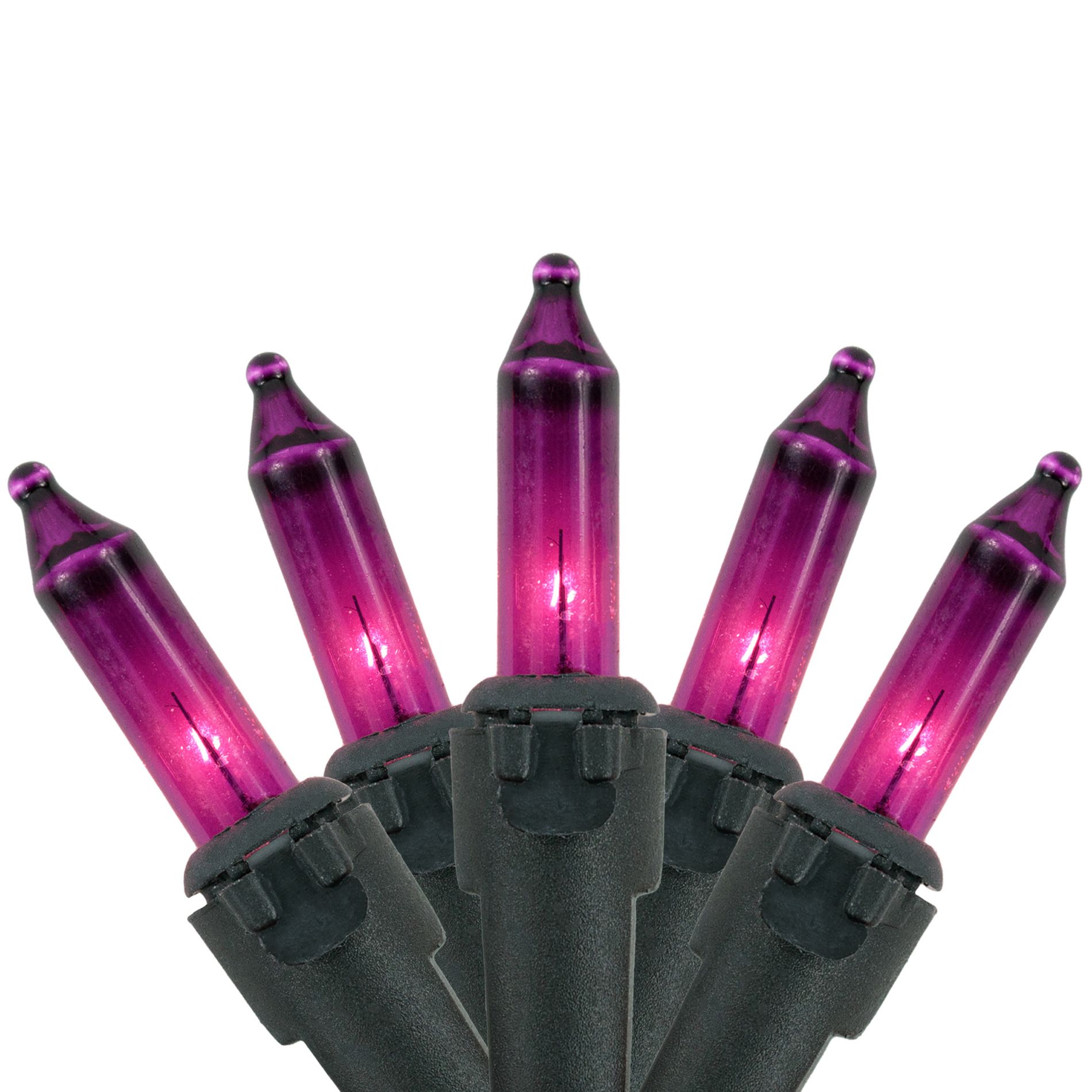 Northlight Mini Incandescent Christmas Lights - Purple - 7' Black Wire - 35ct