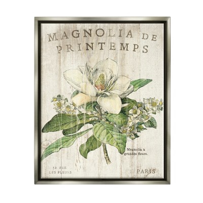 Stupell Industries French Magnolias In Spring