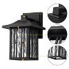 C Cattleya 10 in. Powder-coated Black Outdoor Wall Lantern Sconce with Clear Water Glass - 3 of 4
