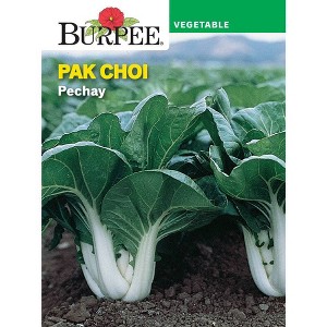 Burpee Pak Choi Pechay Vegetable Seeds - 1 of 2