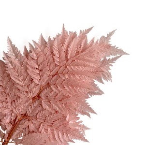 Alilang Decorative Dried Fern Leaves for Home Decoration and Floral Arrangements, 13.5 Inches - 1 of 3