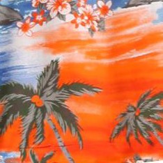 orange palm
