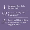 Garden of Life Organic Vegan Prenatal Daily Multivitamin Tablets - 30ct - 4 of 4