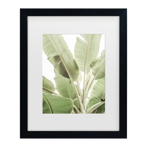 Trademark Fine Art - Shot by Clint Full Bloom Matted Framed Art - 1 of 4