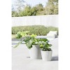 Ecopots Amsterdam Durable Modern Round Indoor/Outdoor Recycled-Based Composite Flower Pot Planter - 4 of 4