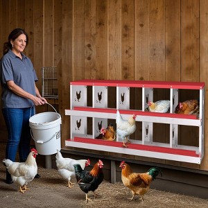 Nesting Boxes for Chickens, Metal Roll Out Laying Nest Box with Perch, Secure Lid Wall Mount or Free Standing - 1 of 4
