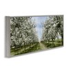 Stupell Industries Blooming White Tree Orchard Framed Giclee Art, Gray, 30" x 13" - 2 of 4