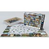 Eurographics Inc. Castles & Palaces Globetrotter 1000 Piece Jigsaw Puzzle - 3 of 4