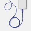 6' A+C Silicone Cable - heyday™ - 2 of 3