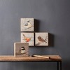 Melrose Rustic Wood Bird Plaque (Set of 4) - 3 of 4