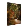 Trademark Fine Art -Jai Johnson 'Autumn Forest 2' Canvas Art - 4 of 4