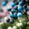 Sullivans Artificial 25" Dusk-Colored Berry Stem Set of 3, Multicolored - 2 of 3
