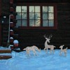 Good Tidings Outdoor Christmas Decoration Display, 3 Piece Reindeer, 50 Lights - 3 of 3