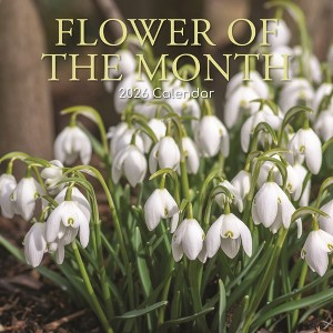 2026 Square Wall Calendar, Flower of the Month, 16-Month Floral Theme with 180 Reminder Stickers (12x12 In) - 1 of 4