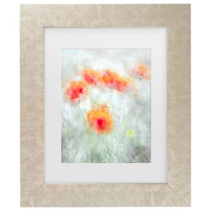 Trademark Fine Art - Majid Behzad  Red Corn Flowers Matted Framed Art - 1 of 4