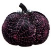 The Lakeside Collection Webbed Pumpkin Decor - 4 of 4