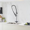 BWE Commercial Restaurant Pull-Down Double Handle Countertop Pre-Rinse Spray Utility Kitchen Faucet - 2 of 4