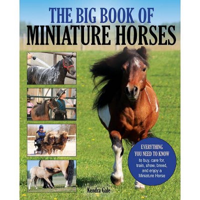 The Big Book of Miniature Horses - by  Kendra Gale (Paperback)