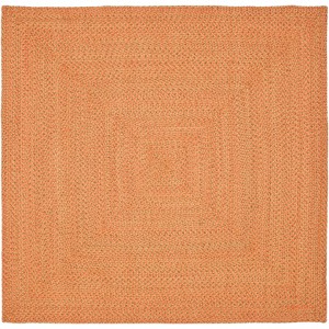 Braided BRD166 Hand Woven Rug - Safavieh - 1 of 3