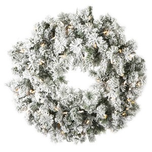Vickerman Flocked Kiana Artificial Christmas Wreath - 1 of 4