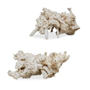 Uttermost Elemental Root Sculptures-Bleached Residi Wood with Natural Formations, Set of 2 - 1 of 2