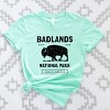 Simply Sage Market Vintage Badlands National Park Short Sleeve Tee - S - Mint - 3 of 4
