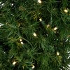 Northlight 6 FT Pre-Lit Artificial Pine Cactus Christmas Tree, Warm Clear LED Lights - 4 of 4