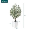 DR.Planzen 72" Artificial Olive Tree - 6FT UV Resistant Fake Plant with 15.7" Tall Planter Planter for Indoor House Plants & Tall Floor Decor - 3 of 4