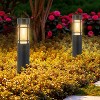 C Cattleya Black Solar LED Outdoor Path Lights - 4 of 4
