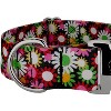 Country Brook Petz 1 1/2 Inch Premium Dog Collar - Floral Collection - 4 of 4