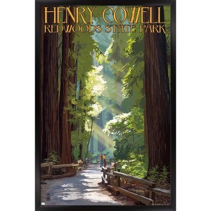 Trends International Lantern Press - Redwoods Pathway in Trees Framed Wall Poster Prints - 1 of 4