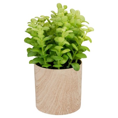 Northlight 10" Green Artificial Privet Plant in Faux Wood Pot