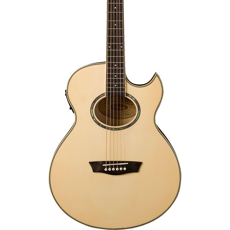 Washburn EA20 Mini Jumbo Acoustic-Electric Guitar, 1 of 4