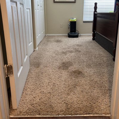 Guest review image 1 of 2, zoom in