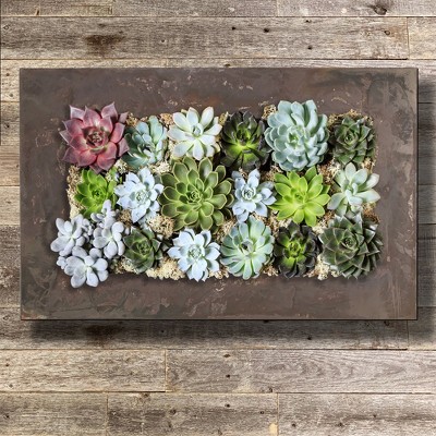 Rustic Galvanized Steel and Zinc 18-Pocket Succulent Planter