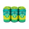 Rhinegeist Juicy Truth - 6pk/12 fl oz Cans - 4 of 4
