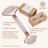 Travel Facial Care Kit – Massager & Eye Roller for Skin Refreshment, Compact Beauty Tools Storage - 4 of 4