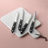 Henckels Prime 4pc Steak Knife Set : Target