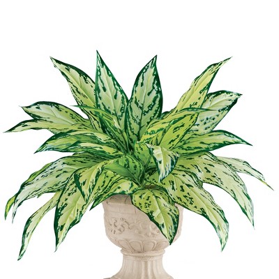 Collections Etc Artificial Dieffenbachia Bush Bundles - Set of 2 NO SIZE Green